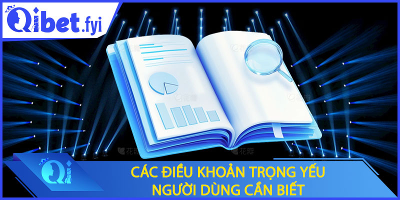 Các điều khoản trọng yếu người dùng cần biết