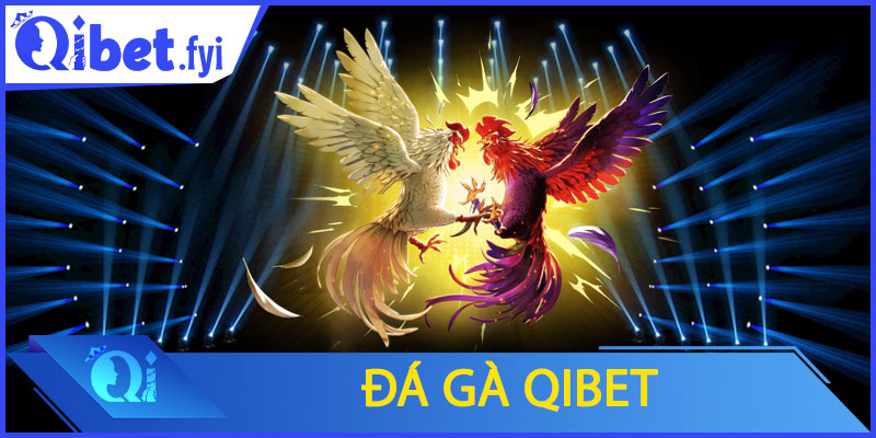 Đá Gà Qibet